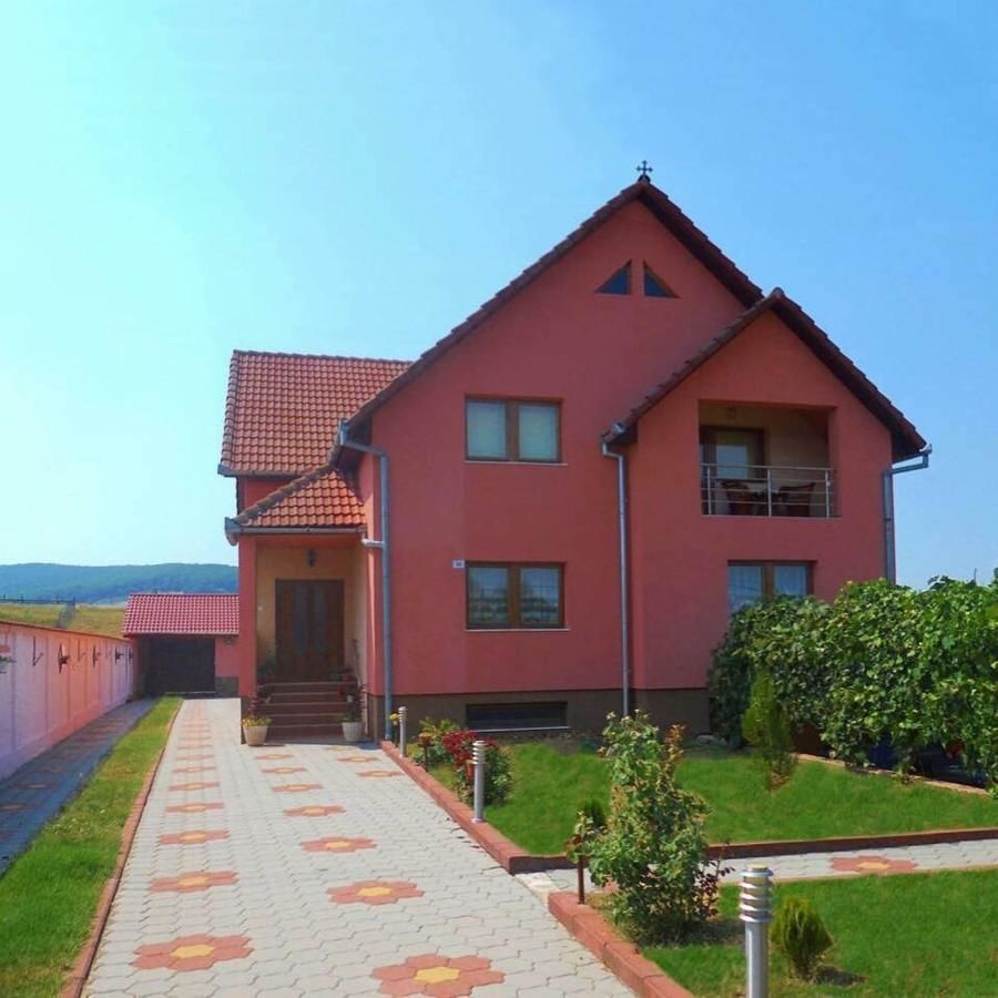 Дома для отпуска Vila La Izvor Petreşti-4