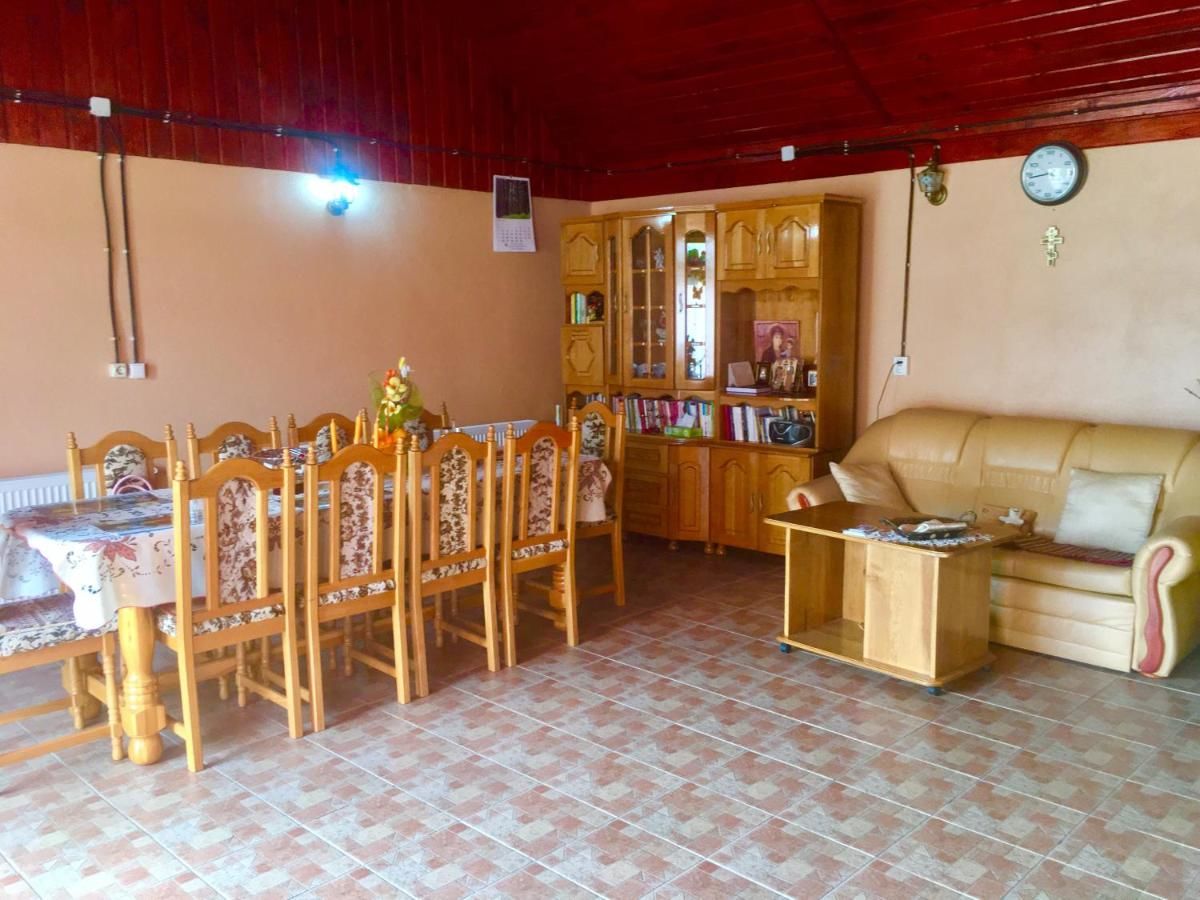 Дома для отпуска Vila La Izvor Petreşti-32