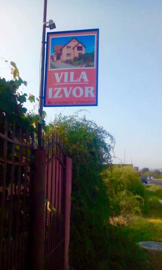 Дома для отпуска Vila La Izvor Petreşti-42