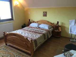 Дома для отпуска Vila La Izvor Petreşti Двухместный номер с 1 кроватью, вид на парк-3